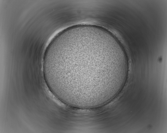 X0000116481232200912231124