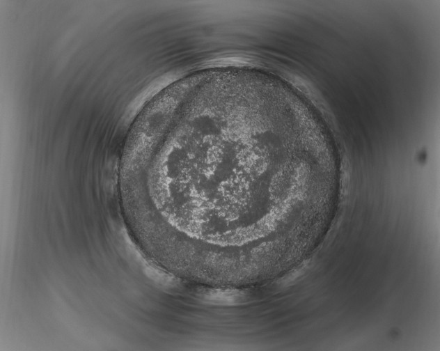 X0000116481233200912231124