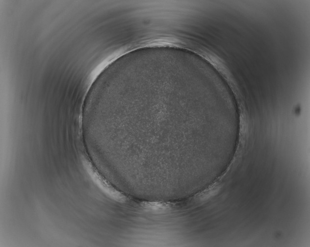 X0000116481234200912231124