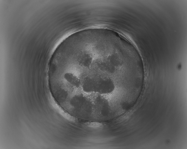 X0000116481235200912231124