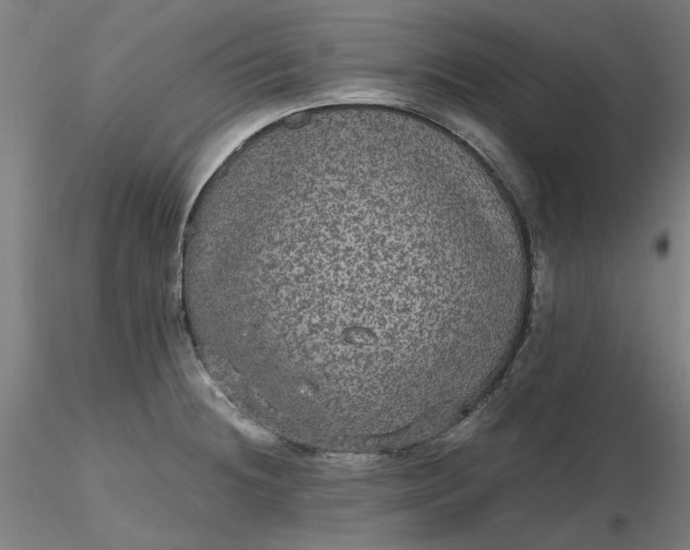 X0000116481236200912231124