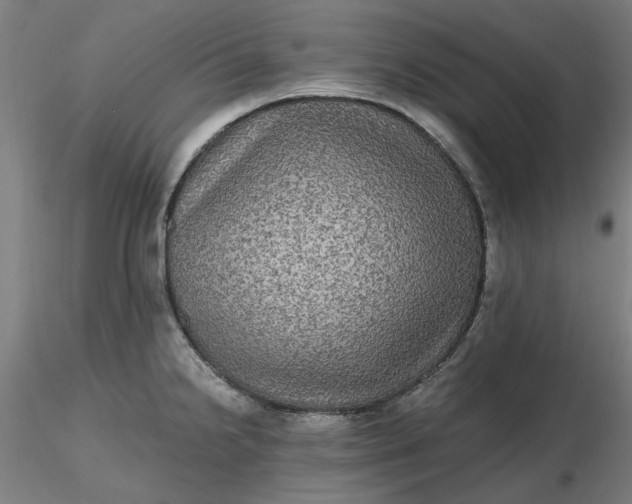 X0000116481238200912231124