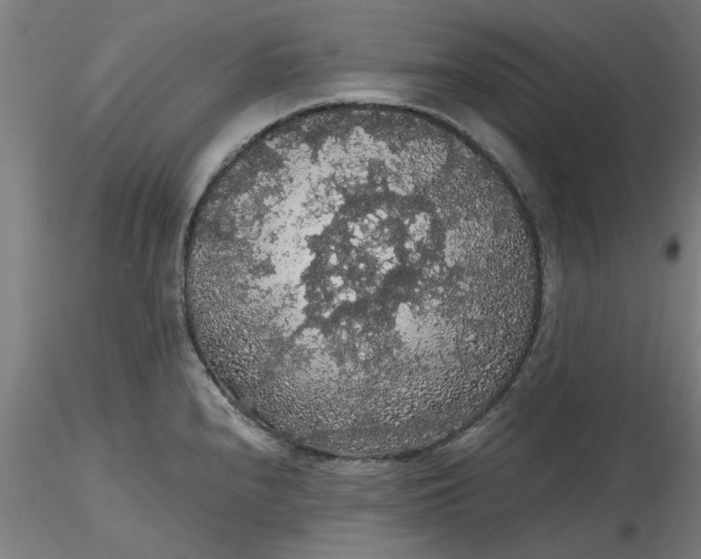 X0000116481240200912231124