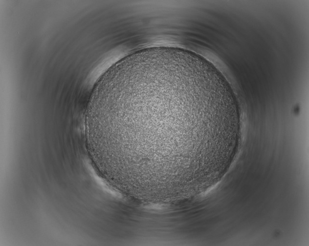 X0000116481241200912231124