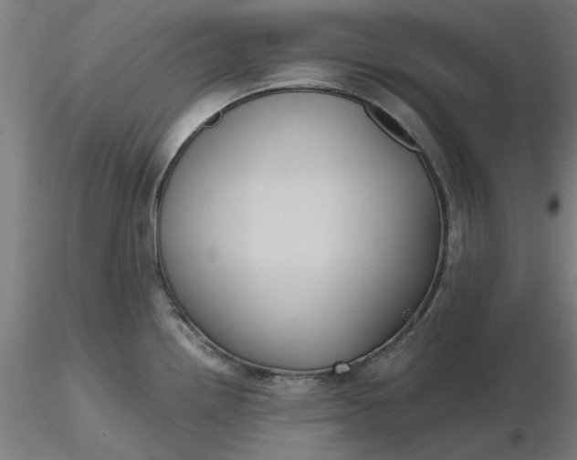 X0000116481242200912231124