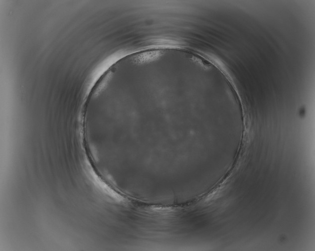 X0000116481243200912231124