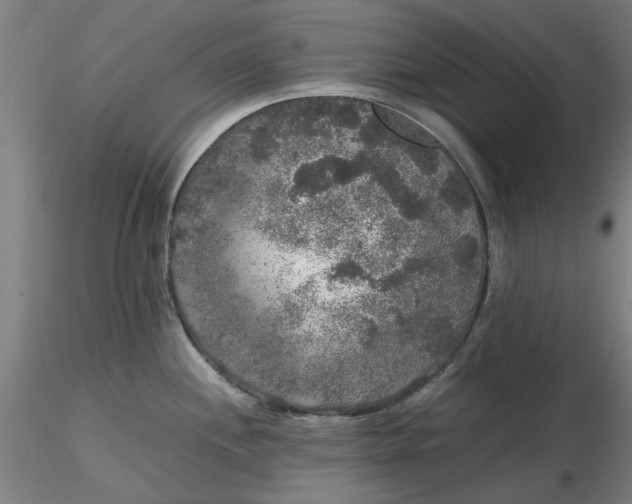 X0000116481244200912231124