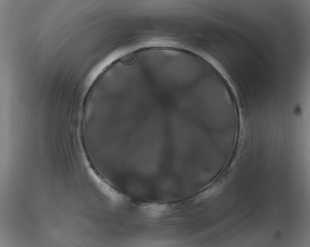 X0000116481245200912231124