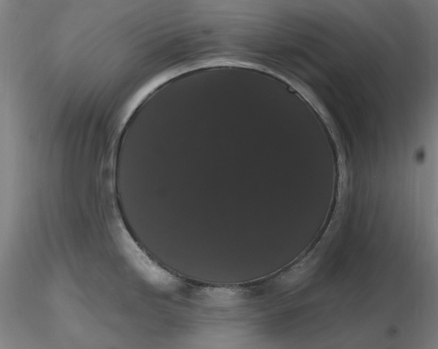 X0000116481246200912231124