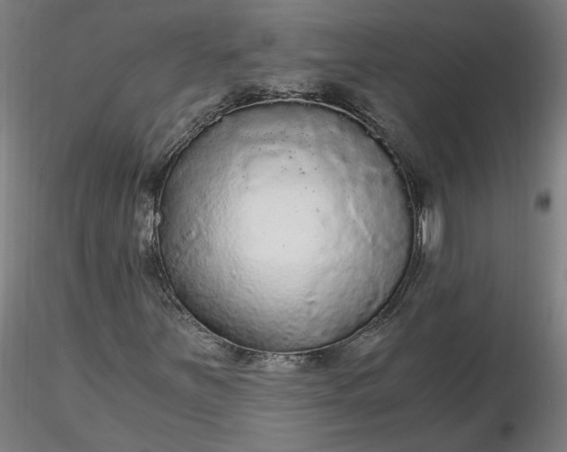 X0000116481251200912231123