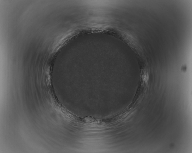 X0000116481252200912231123