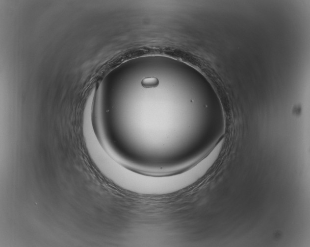 X0000116481253200912231123