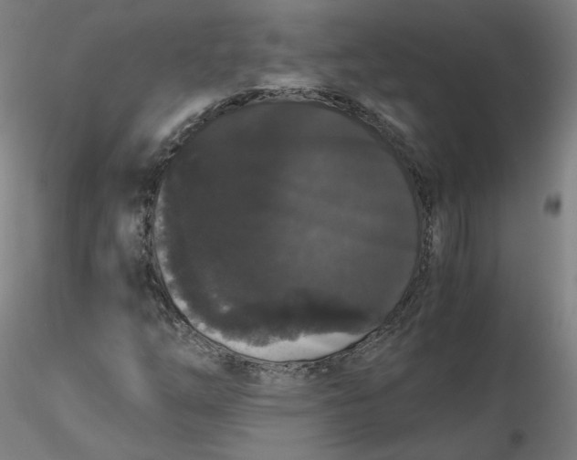 X0000116481254200912231123