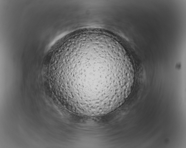 X0000116481255200912231123