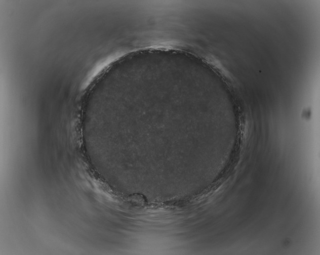 X0000116481256200912231123