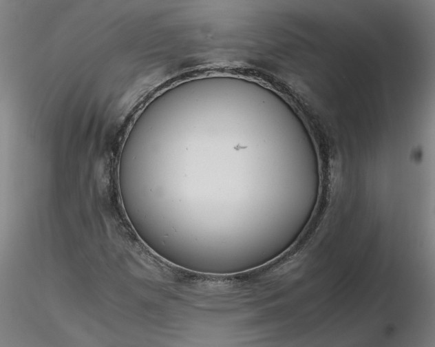 X0000116481257200912231123