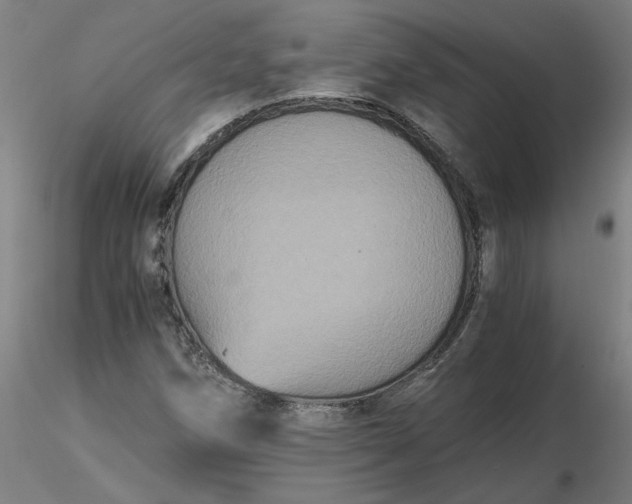 X0000116481258200912231123