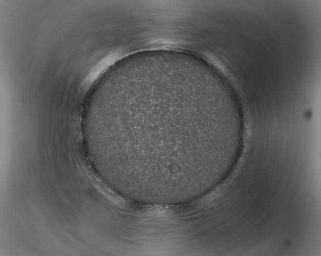 X0000116481259200912231123