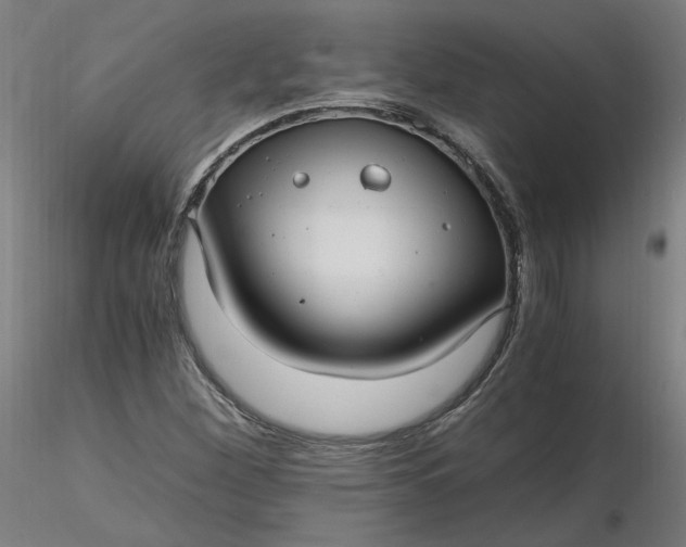 X0000116481260200912231123