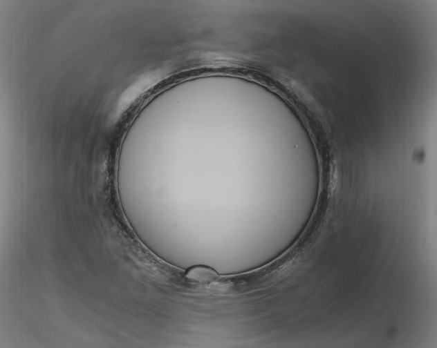 X0000116481261200912231123