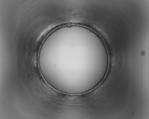 X0000116481262200912231123