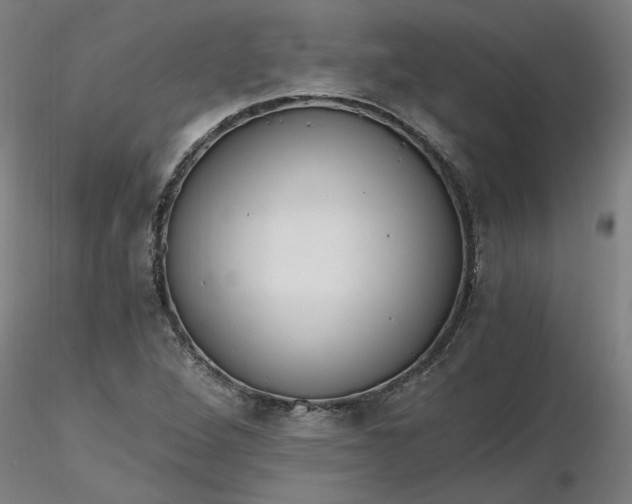 X0000116481264200912231123