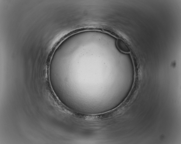 X0000116481267200912231123