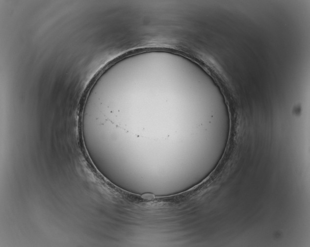 X0000116481268200912231123