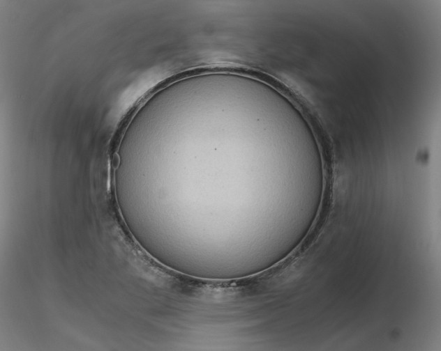 X0000116481269200912231123