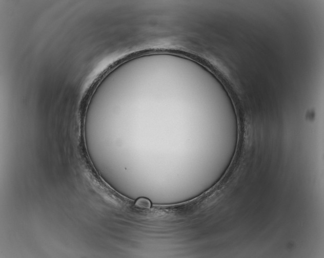 X0000116481270200912231123