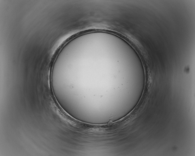 X0000116481272200912231123