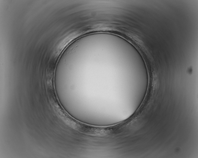 X0000116481273200912231123