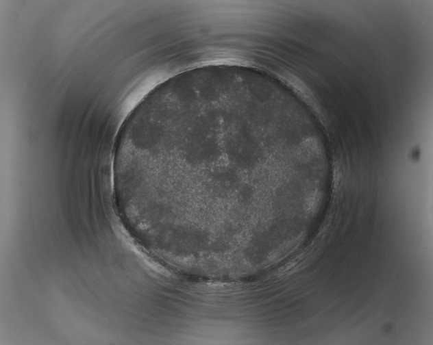 X0000116481274200912231123