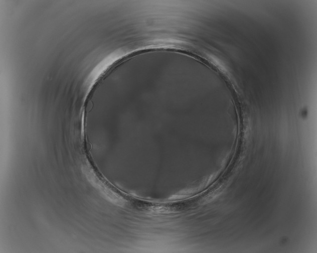 X0000116481275200912231123