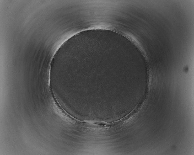 X0000116481276200912231123