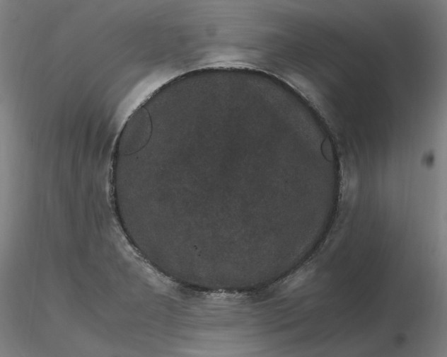 X0000116481277200912231123