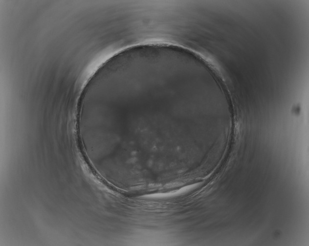 X0000116481279200912231123