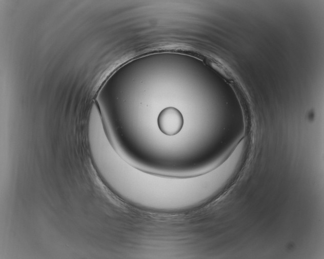 X0000116481281200912231123