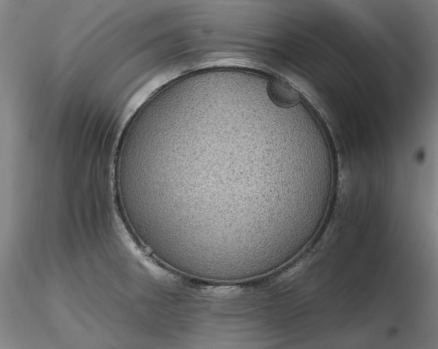 X0000116481282200912231123