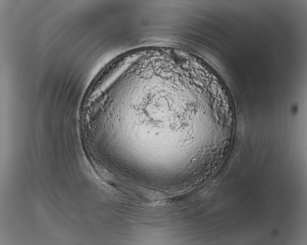 X0000116481283200912231123