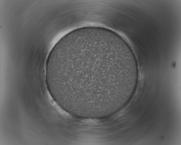 X0000116481287200912231123