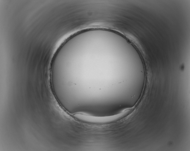 X0000116481288200912231123