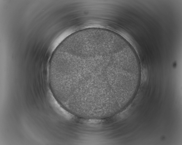 X0000116481290200912231123