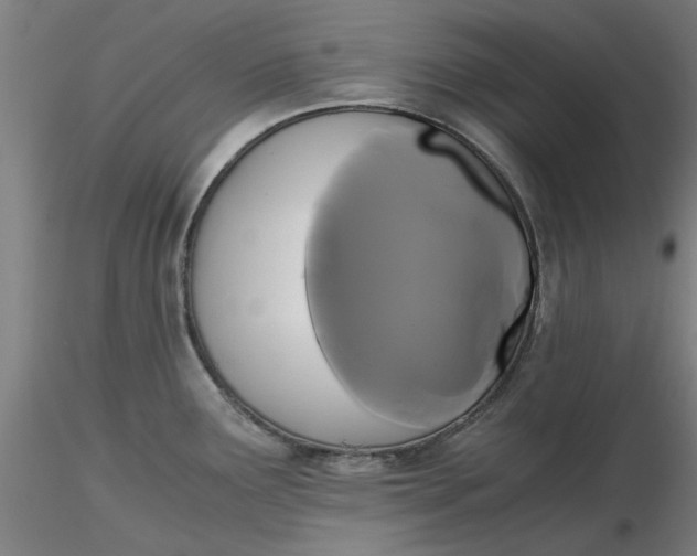 X0000116481291200912231123