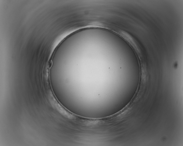 X0000116481292200912231123