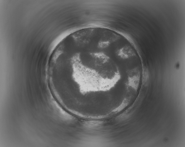 X0000116481294200912231123