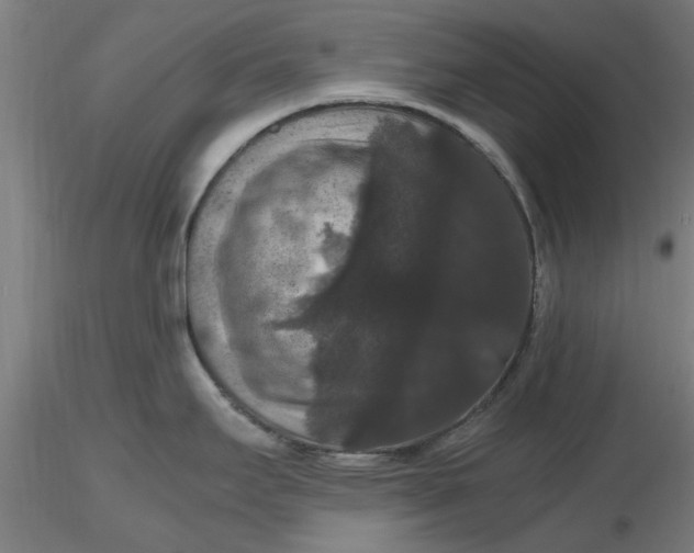 X0000116481295200912231123