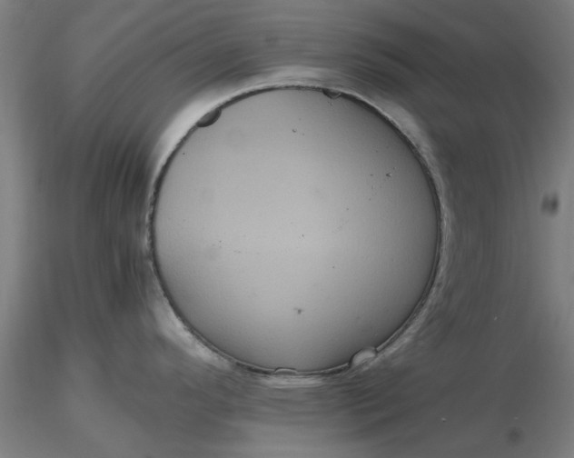 X0000116481296200912231122