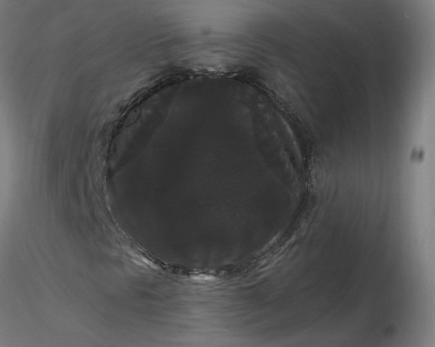 X0000116481297200912231122