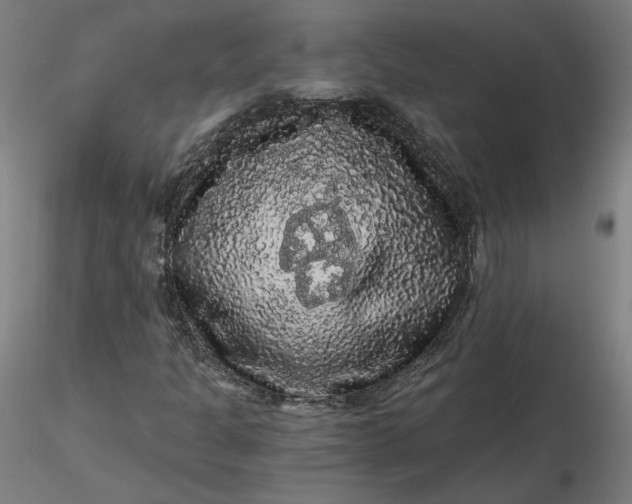 X0000116481301200912231122